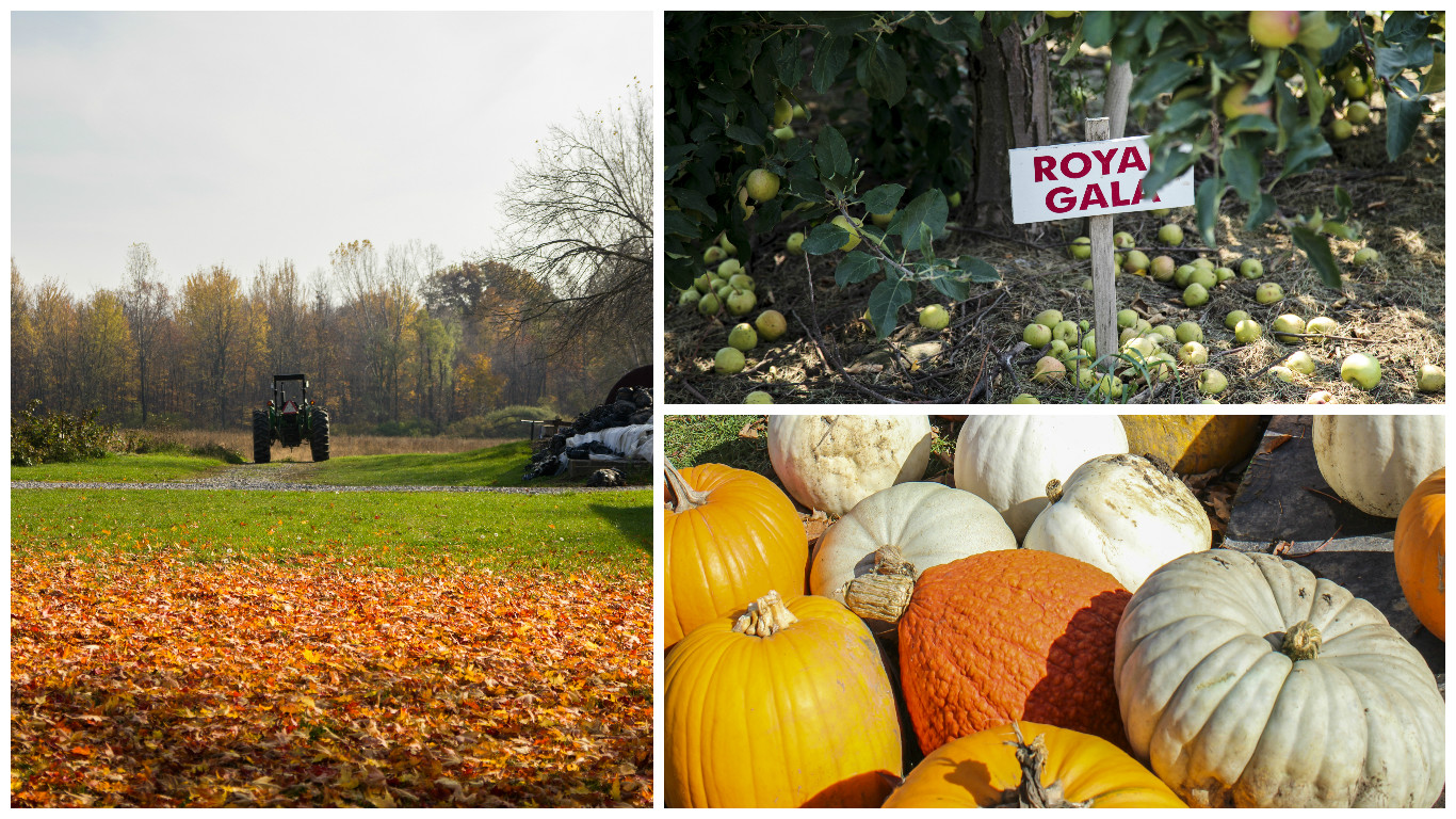 October Food and Drink Events October Food and Drink Events