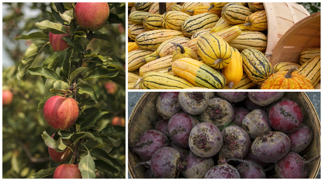October In-season Guide October In-season Guide