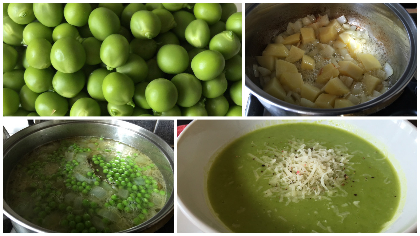Sweet Pea Soup Sweet Pea Soup