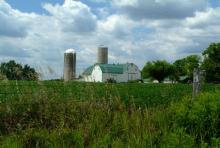 OPG's Farmers' Market