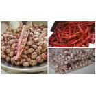 Ontario Cranberry Bean Recipe