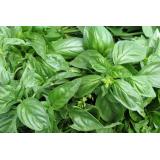 Victory Herbs and Farms Inc. Victory Herbs and Farms Inc.