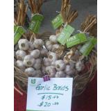 LOVE Garlic LOVE Garlic
